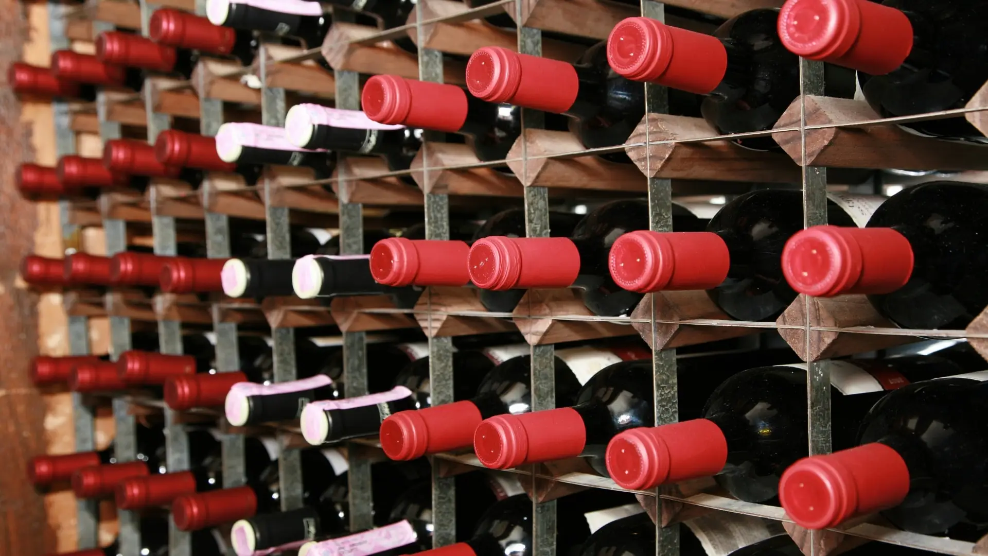 A number of wine bottles placed on a tall wine cellar.