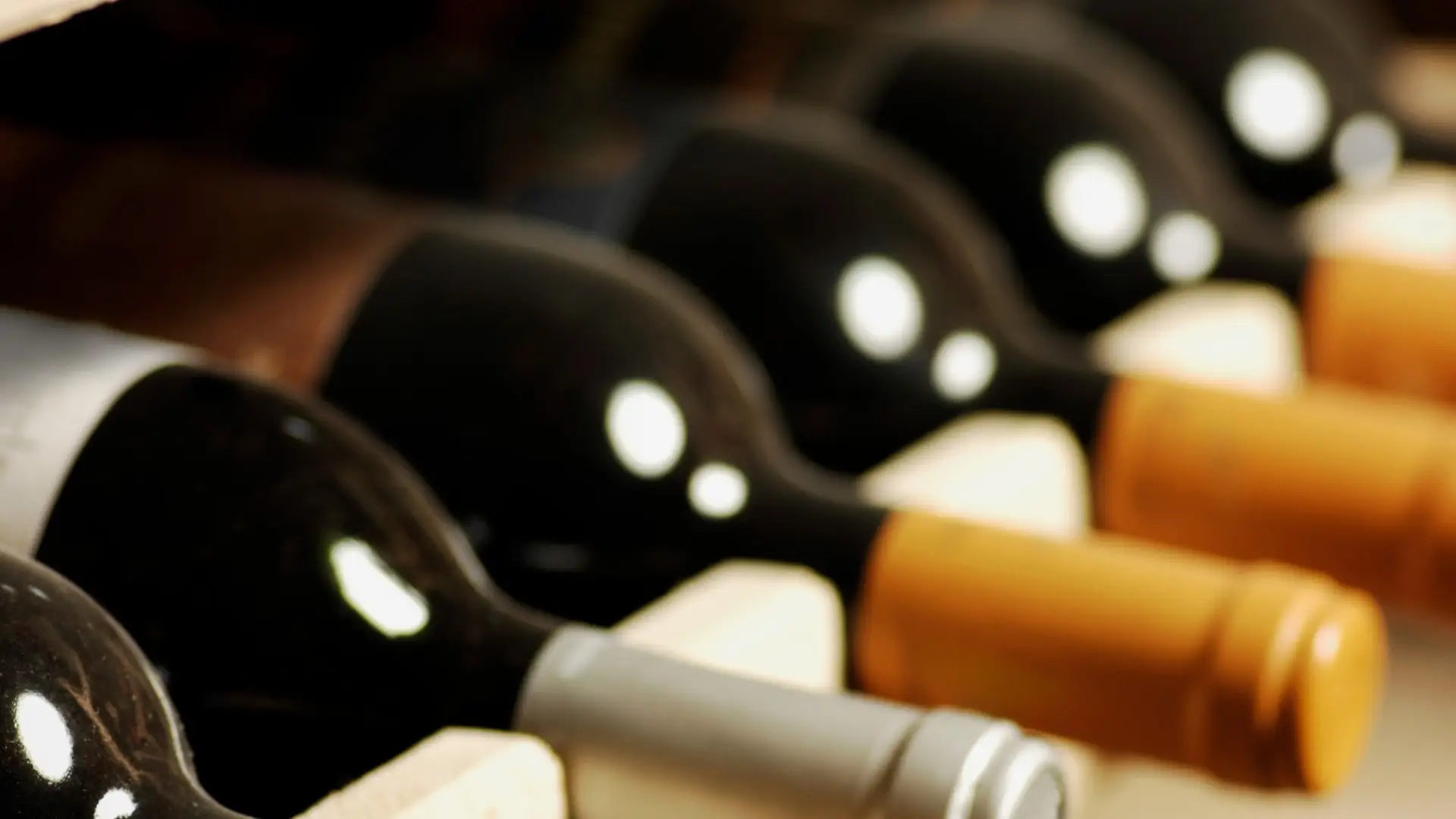 A close-up of a number of wine bottles placed in a wine cellar.