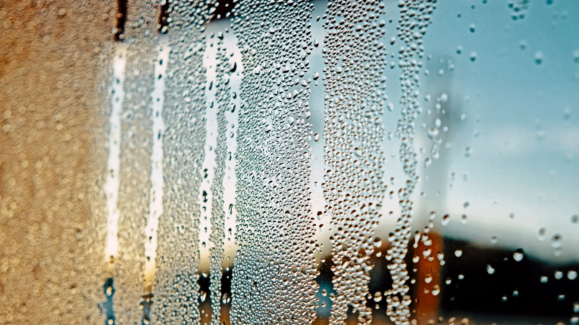 How to Prevent Condensation in Your Wine Cellar